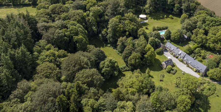 Domaine AbracadaRoom : FORET TOTEM - Image 1