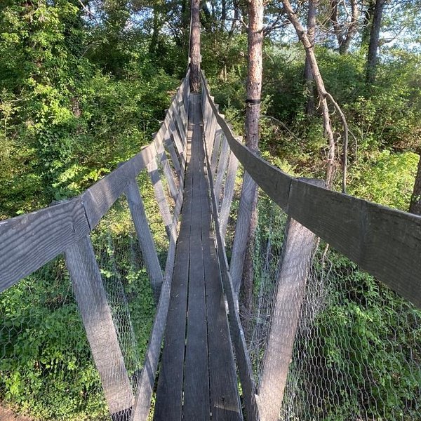 Hébergement AbracadaRoom : La Cabane de Camille - Image 16