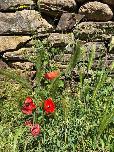 Domaine AbracadaRoom : The Enchanted River - Image 3