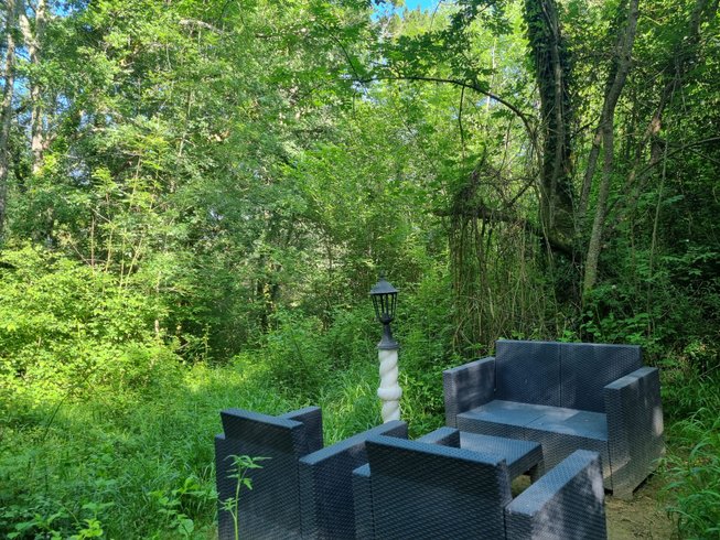 Hébergement AbracadaRoom : Serre - Image 11