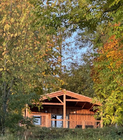 Hébergement AbracadaRoom : Chalet tout confort "Le Cerf" - Image 3