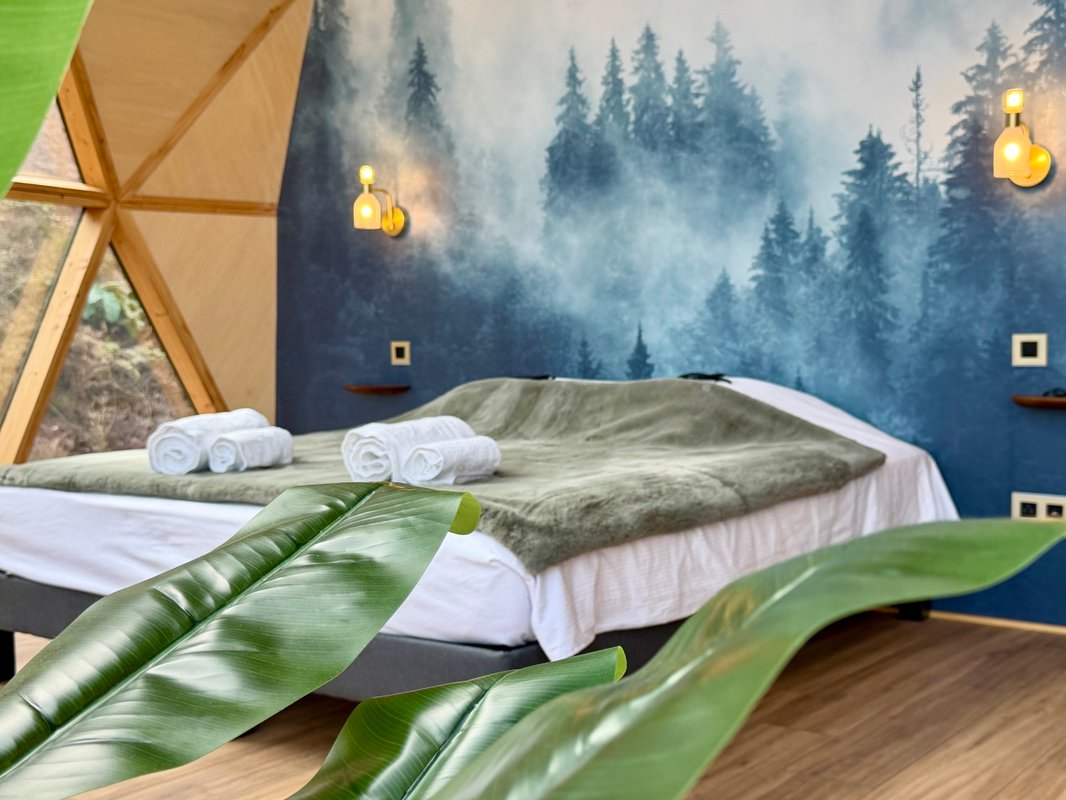 Dôme Aura-Insolite-Sauna-Bain-Nordique-Climatisé à Hommert (12)