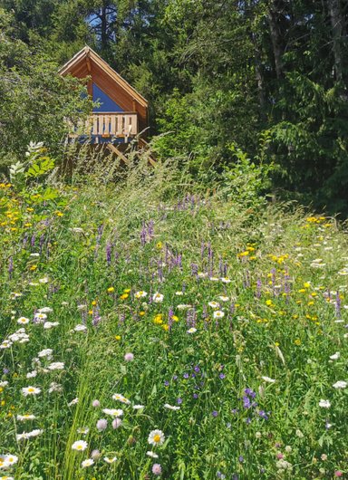 Cabane "Les terres blanches" à Le Lauzet Ubaye