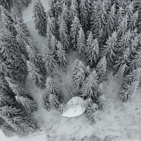 Hébergement AbracadaRoom : Cabane Feuille & Spa - Image 2