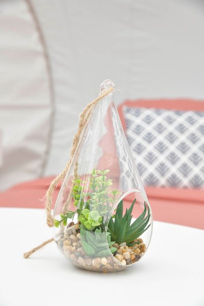 Hébergement AbracadaRoom : Bulle Ecureuil - Image 21