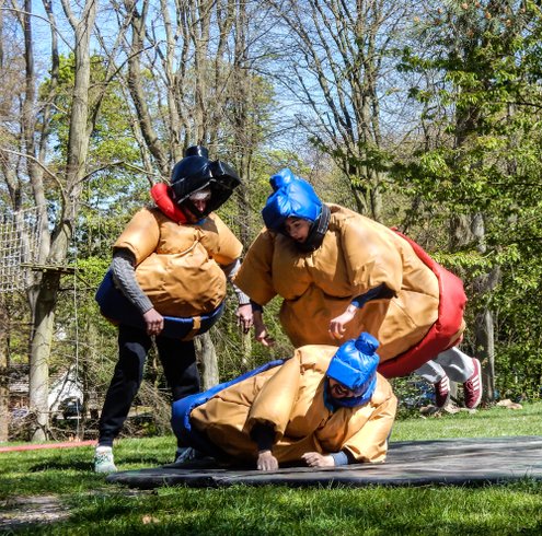 Domaine AbracadaRoom : Woody  Park - Image 9