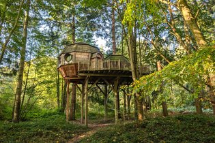 Cabane dans les arbres Oise