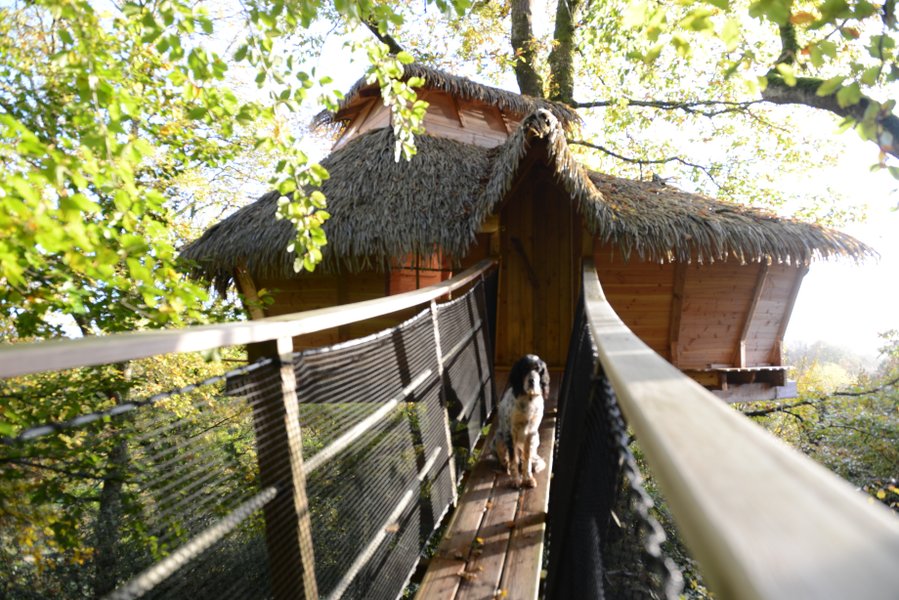 Hébergement AbracadaRoom : Charbonnière - Image 15