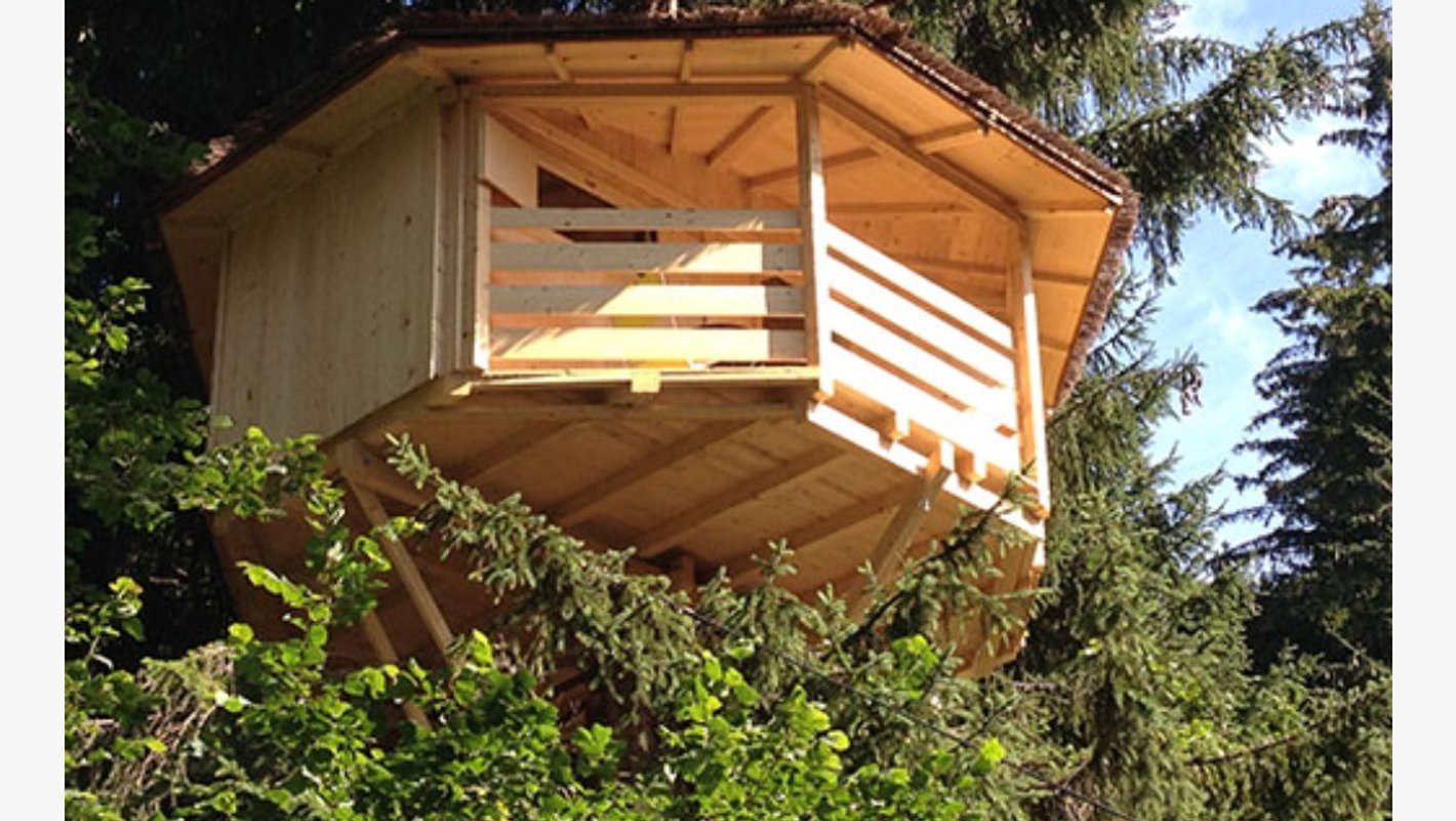 Cabane dans les arbres - La Verte, vue sur le Mont Blanc à Passy (2)
