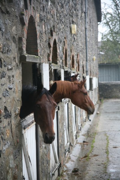 Domaine AbracadaRoom : Domaine des Vaulx - Image 10