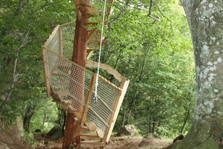 Treehouse Cantal