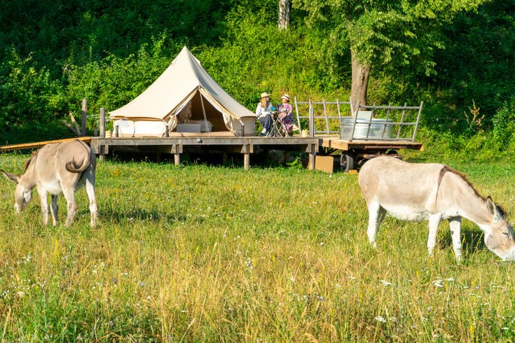 Hébergement AbracadaRoom : Lodge Gipsy & Spa - Image 11