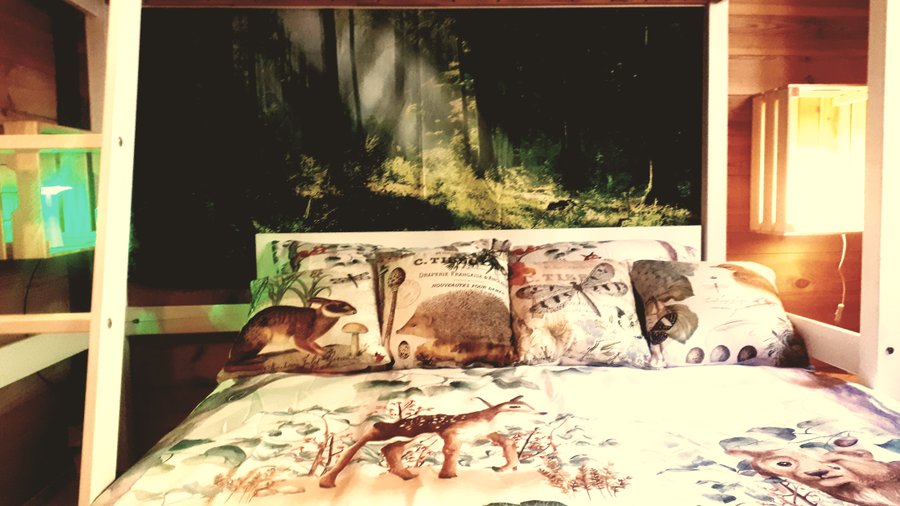 Hébergement AbracadaRoom : Cabane & Spa des Milvus - Image 16