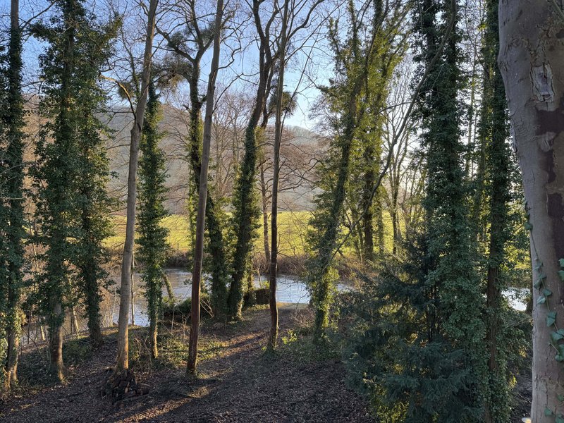 Hébergement AbracadaRoom : Bulle au Fil de l'eau & Bain nordique - Image 13