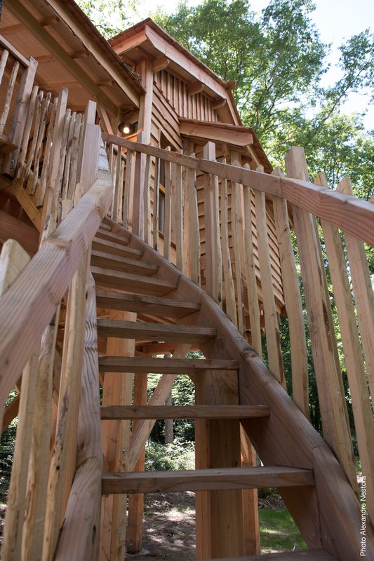 escalier montée-cabane dans les arbres-séjour insolite en famille-centre-abracadaroom