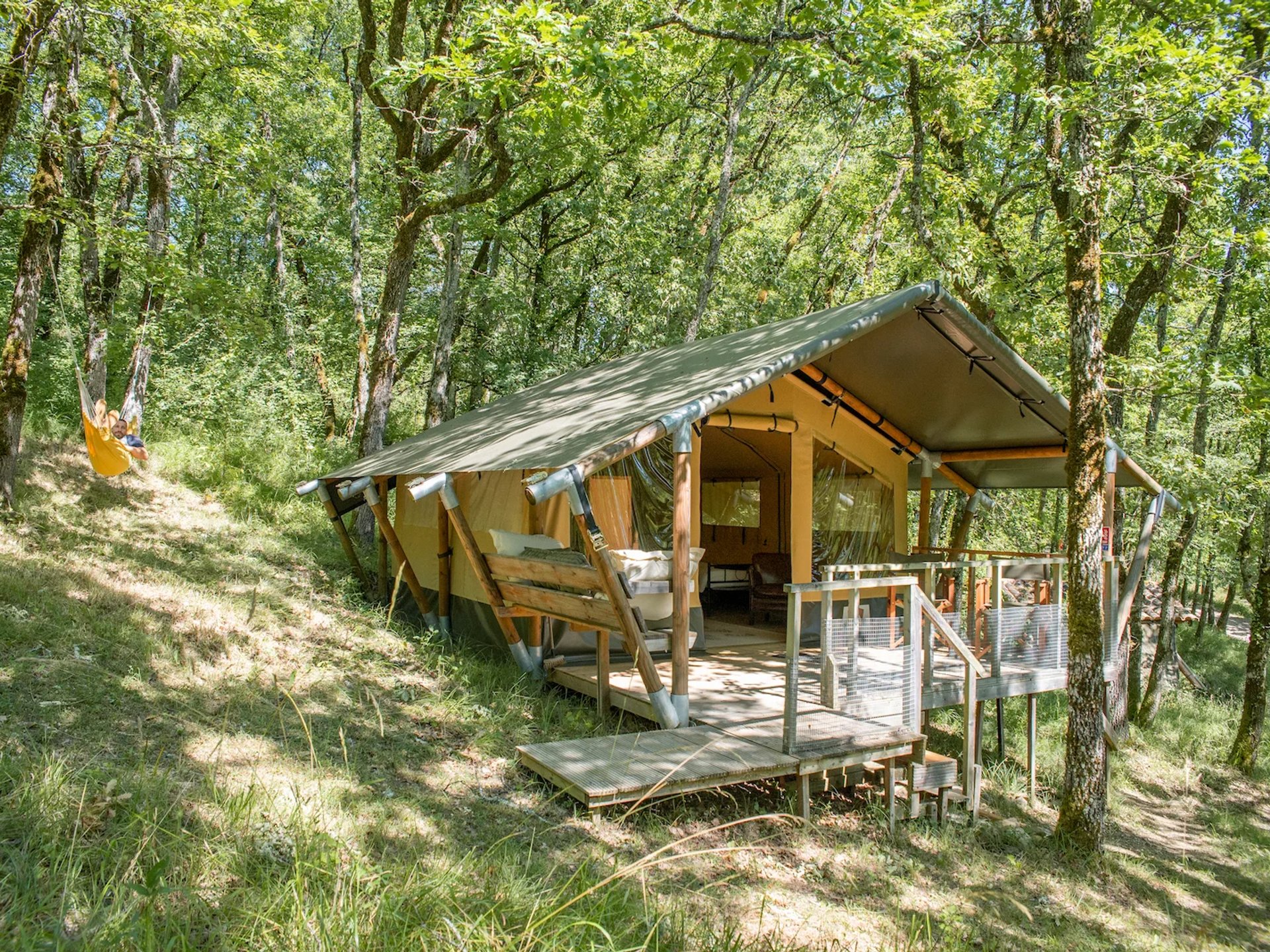 Shimoni, dans les bois