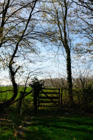 Domaine AbracadaRoom : Mesnil & Une Nuit - Image 10