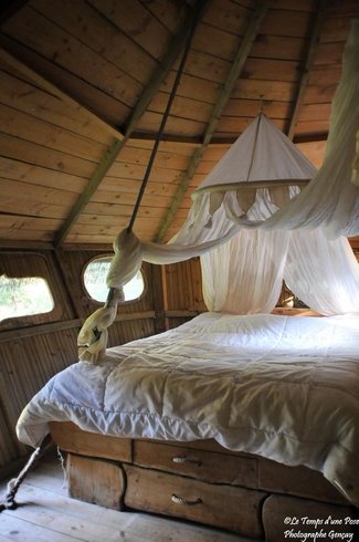 Hébergement AbracadaRoom : Cabane Amazonie - Image 4