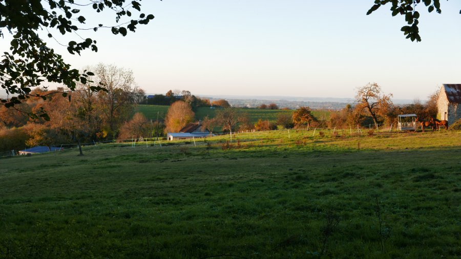 Domaine AbracadaRoom : La Cage aux Oiseaux - Image 10