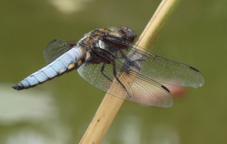 Domaine AbracadaRoom : Kaban'Etik - Image 16