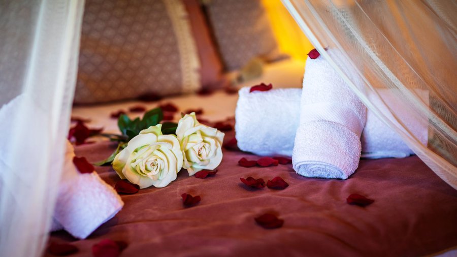 Hébergement AbracadaRoom : Cabane Spa Mayreau - Image 9