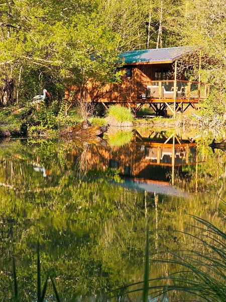 Hébergement AbracadaRoom : Lodge sur pilotis, étang privé, nature et biodiversité à Sarlat - Image 14