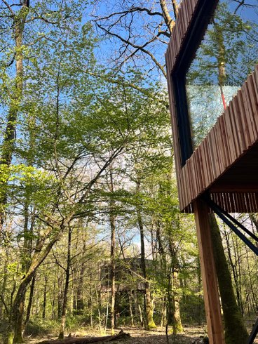 Hébergement AbracadaRoom : Suite «Into the wild» & Spa - Image 4