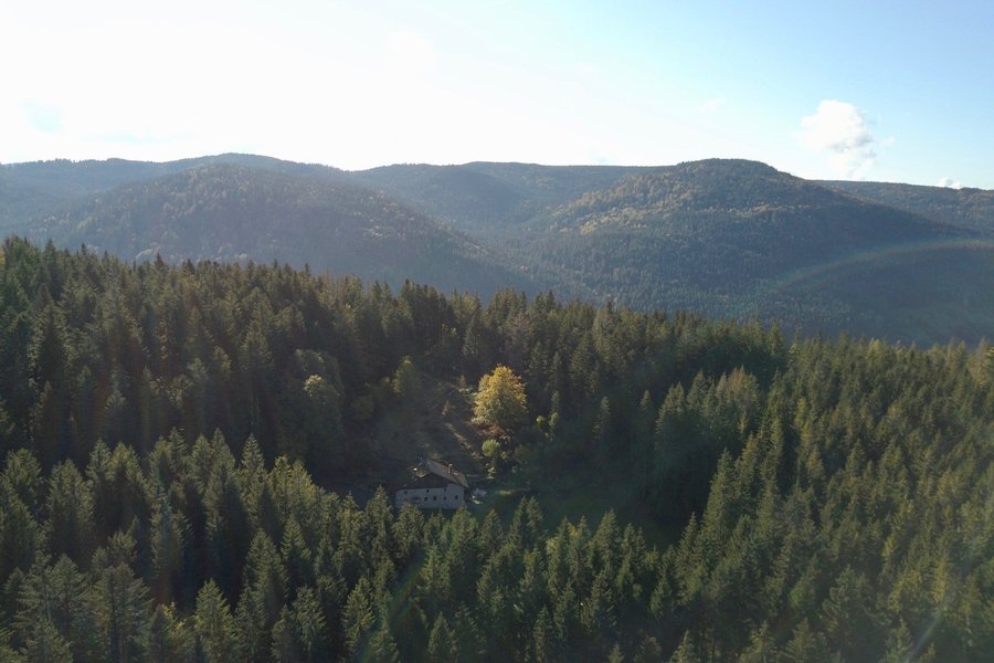 Dôme au milieu des Alpagas — photo 2