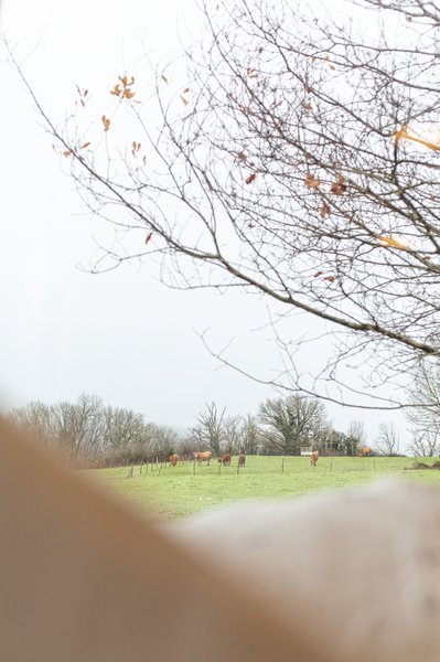 Hébergement AbracadaRoom : Lodge cosy & spa - Pépiite  Nature Dordogne - Image 49