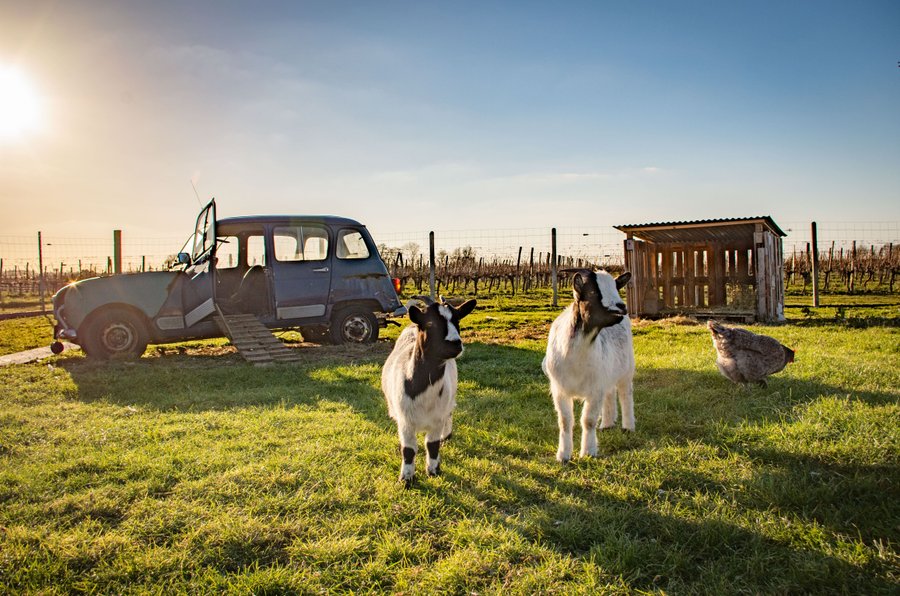 Domaine AbracadaRoom : La Réserve Bagherra - Image 1