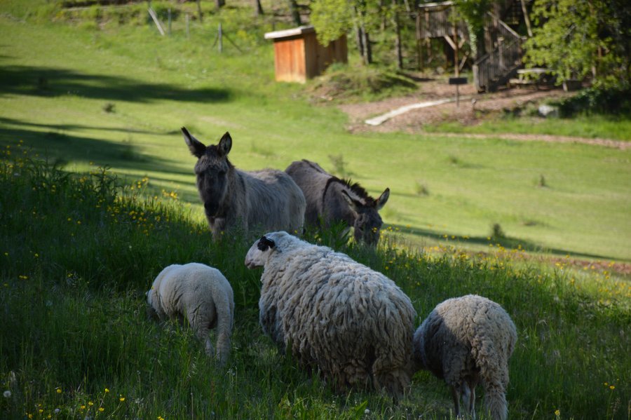 Domaine AbracadaRoom : Domaine Périgord Vacances - Image 5