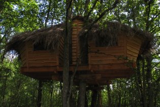 Une Nuit aux Lierres