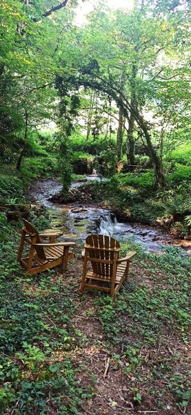 Hébergement AbracadaRoom : Terra Bosca - La roulotte - Image 19