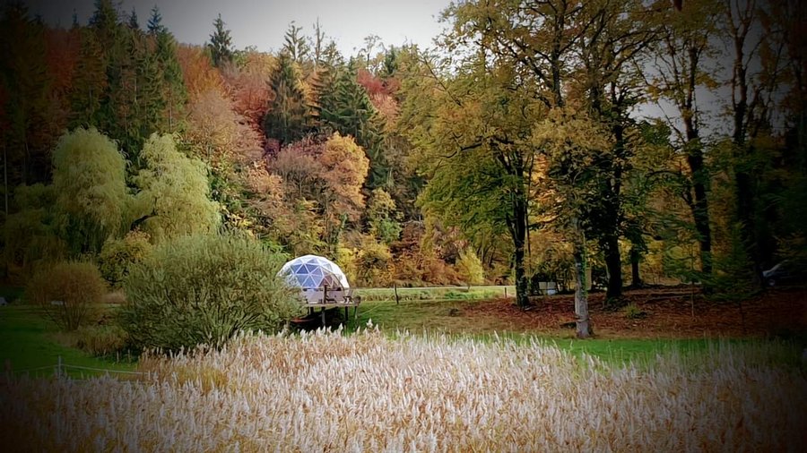 Hébergement AbracadaRoom : Grande ourse - Image 4