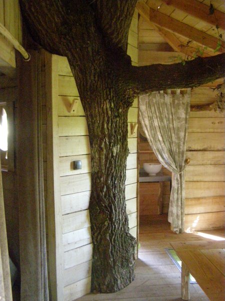 Hébergement AbracadaRoom : Cabane Pivert - Image 6