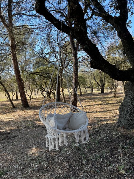 Domaine AbracadaRoom : Domaine de Regardebon - Image 13