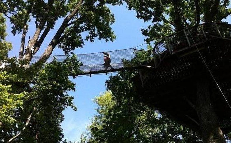Hébergement AbracadaRoom : Cabane Guadeloupe - Image 4
