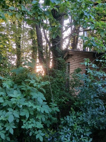 Domaine AbracadaRoom : Le Temple Ysambre - Image 2