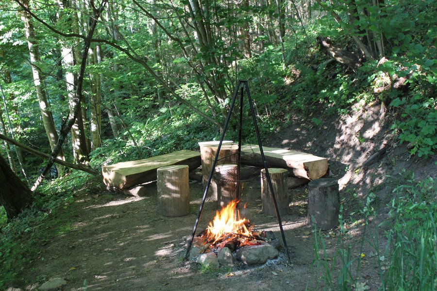 Domaine AbracadaRoom : Les Cabanes perchées du Grand Ballon - Image 9
