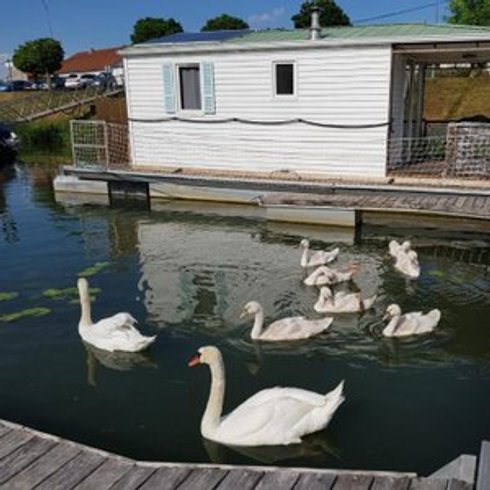 Domaine AbracadaRoom : Cottage Flottant Insolite Ouges - Image 4