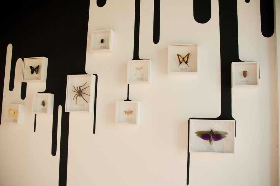 Hébergement AbracadaRoom : Messages aux extras-terrestres - Image 5