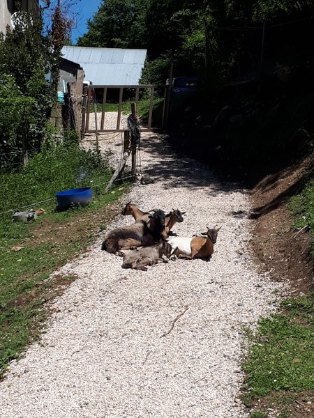 Domaine AbracadaRoom : Le Perchoir des Pyrénées - Image 2
