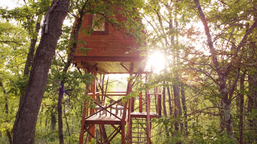 Domaine AbracadaRoom : La cabane entre les cimes - Image 2