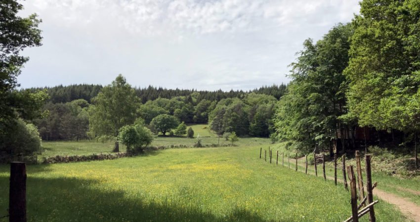 Domaine AbracadaRoom : Les Cabanes au Bord du Monde - Image 5