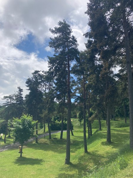 Domaine AbracadaRoom : Camping Sérendipité - Image 3