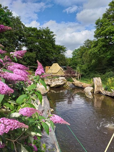 Hébergement AbracadaRoom : Tente M & Spa - Image 3