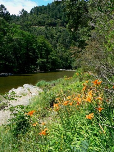 Domaine AbracadaRoom : La Colline Vagabonde - Image 6