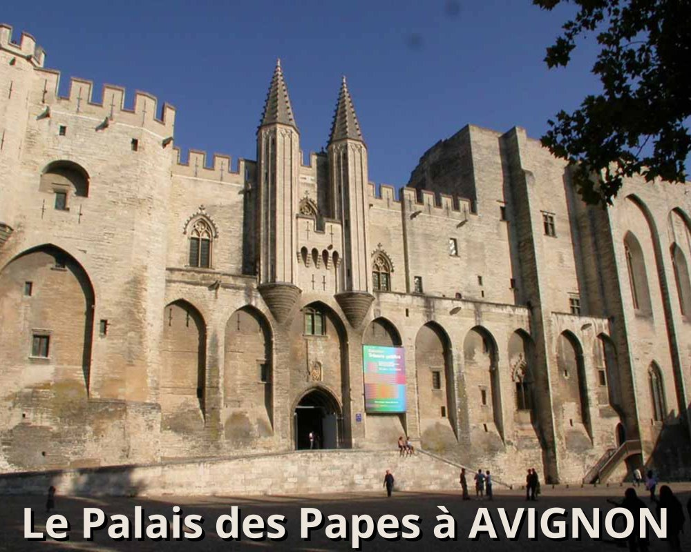 Tonneau Prestige et découverte viticole à Jonquières (23)