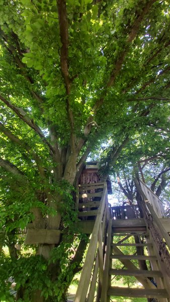 Hébergement AbracadaRoom : La Cabane dans les Arbres - Image 11