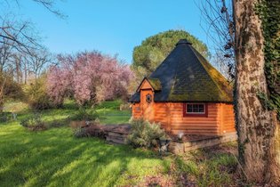 Le kota à l’ombre d’Yggdrasil